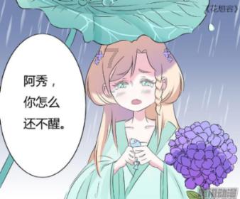 硕大的苹果